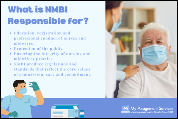 What is NMBI Responsible for