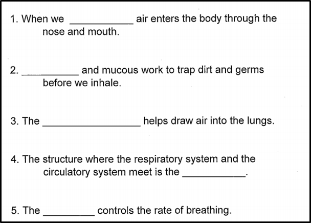 respiration and breathing questions