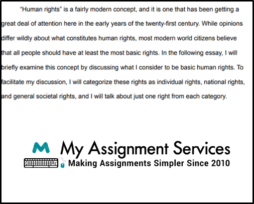 Human Rights Essay Sample