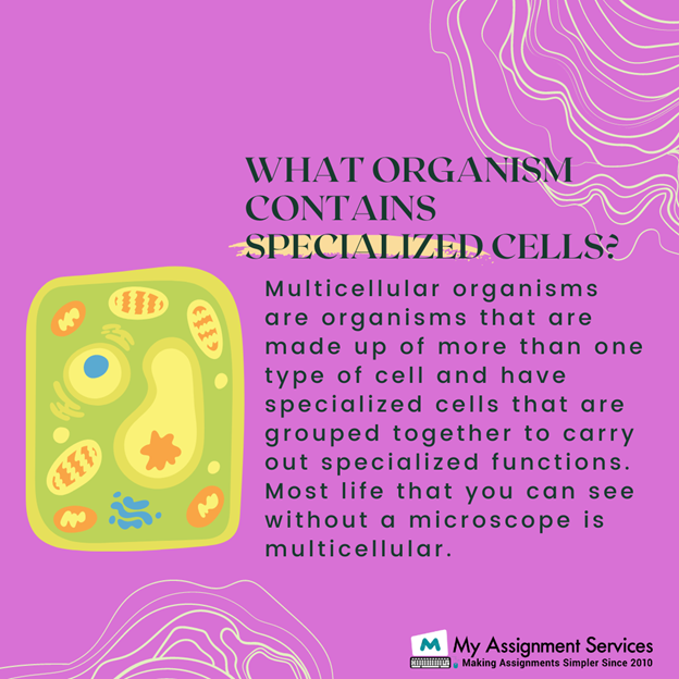 Organism Contains
