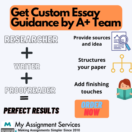 custom essay guidance by A+ team