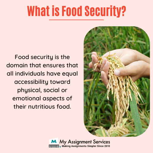 What is food security