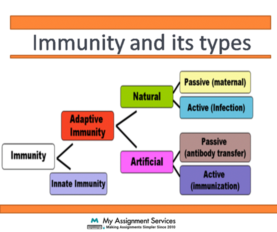 Immunity and Types