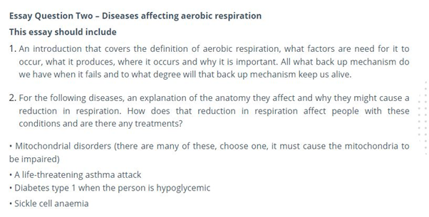 Aerobic and Anaerobic Respiration Question