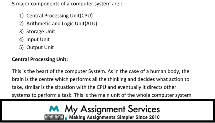 Solution of Dynamic Programming Assignment Sample at My Assignment Services in Australia