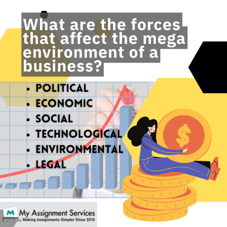 what are the forces that affect the mega environment of a business