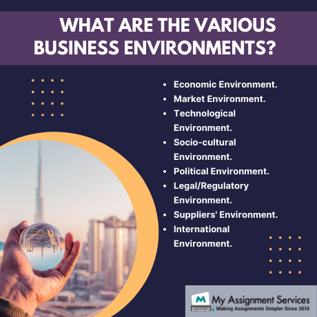 what are the various business environments