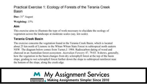 ecology of forest assignment question