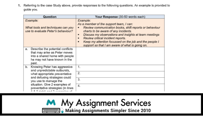 Individual Support assignment sample