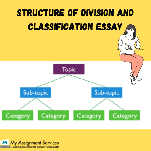 structure of division and classification essay
