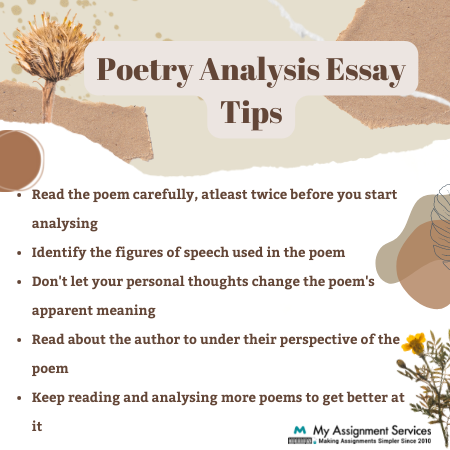 poetry analysis essay tips