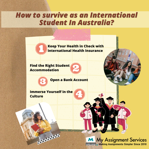 survive as an international student in australia