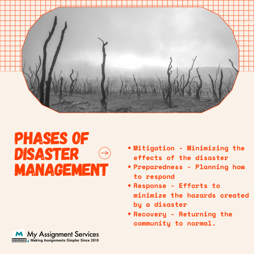 disaster management assignment help