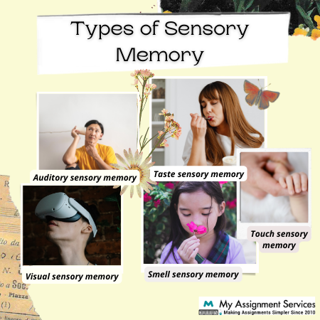 types of sensory memory