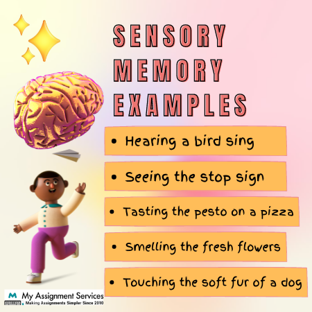 sensory memory examples