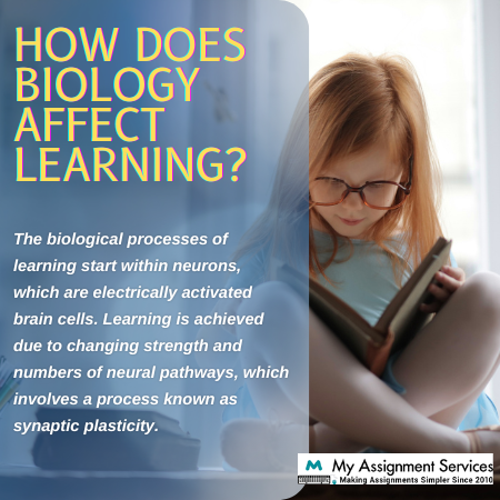how does biology effect learning