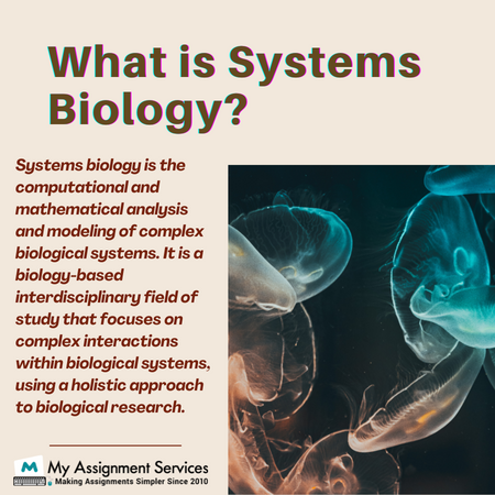 what is systems biology