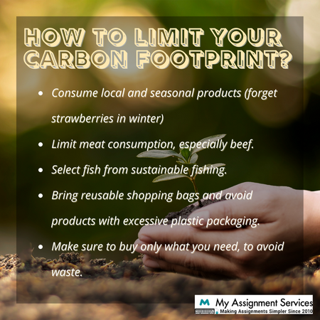 how to limit your carbon footprint