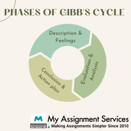 phases of Gibbs cycle