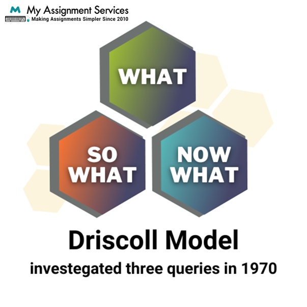 Driscoll Model 3 queries in 1970