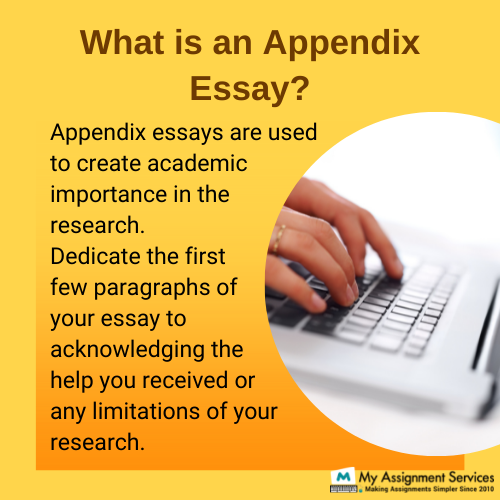 Appendix essay