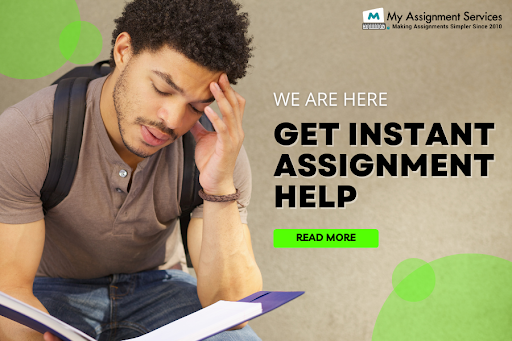 Instant Assignment Help