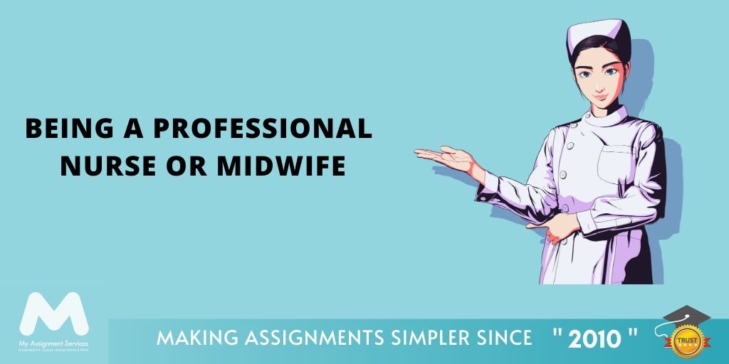 Being a Professional Nurse or Midwife