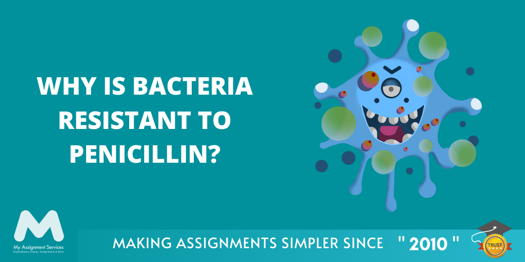 Why Bacteria is Resistant to Penicillin