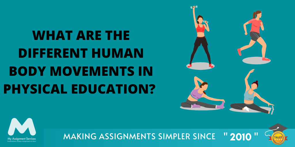 What Are the Different Human Body Movements in Physical Education