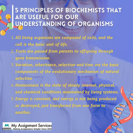 BFD105-Biological Foundations Assessment Answers