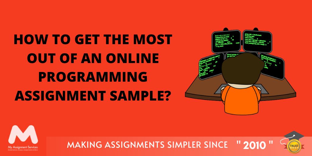 How to Get the Most Out of an Online Programming Assignment Sample?