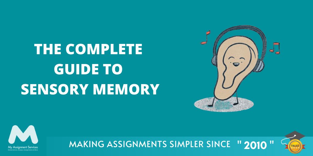 The Complete Guide to Sensory Memory
