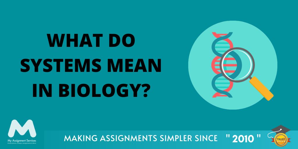 What do Systems Mean in Biology?
